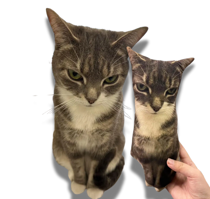 Personalised cushion - CAT SHAPE (With your photo print)