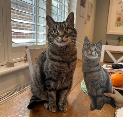 Personalised cushion - CAT SHAPE (With your photo print)